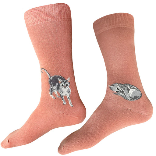 Made in USA men's terracotta (salmon) cotton grey cat socks by THIS NIGHT