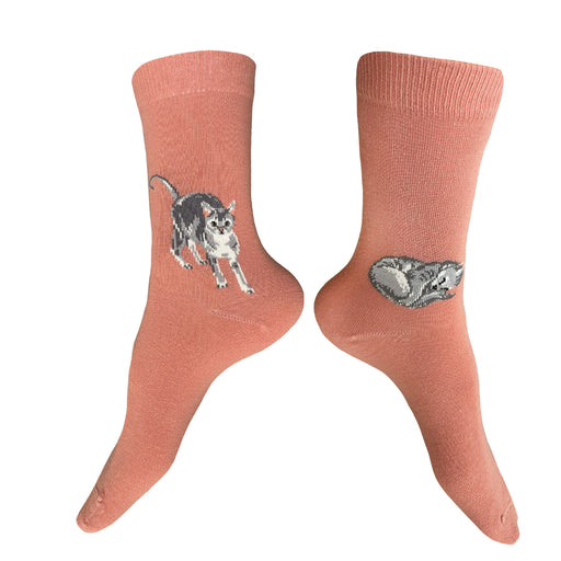 Sweet women's cotton grey cat socks (two cats playing on one sock and another taking a nap on the other sock) on a terracotta (salmon) background by THIS NIGHT and made in USA